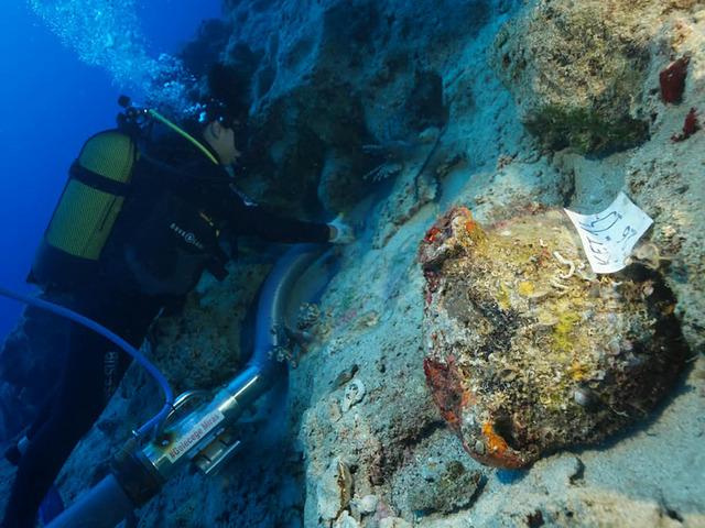 Antalya a&ccedil;ıklarında bulundu! 4 bin 700 yıllık keşif d&uuml;nya basınında