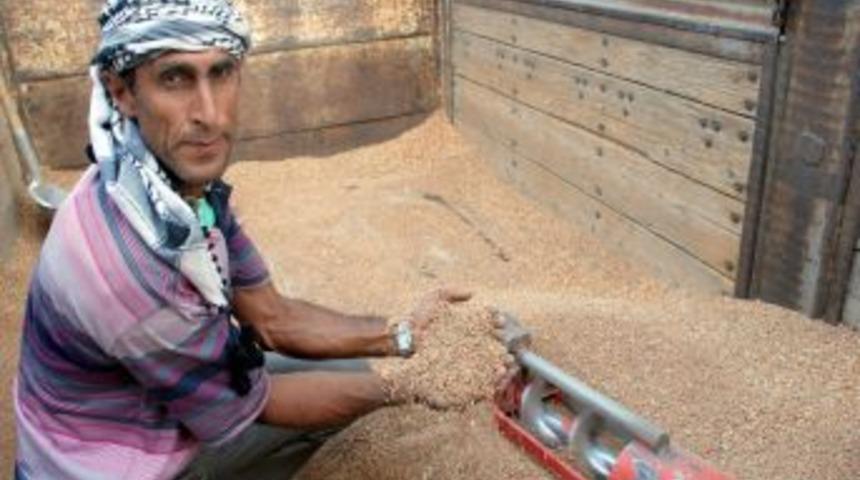 Fiyatı d&uuml;şen kırmızı mercimek ekiminde d&uuml;ş&uuml;ş yaşanıyor