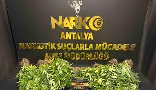Antalya’da 32 operasyonda 28 bin 519 sentetik ecza ele geçirildi