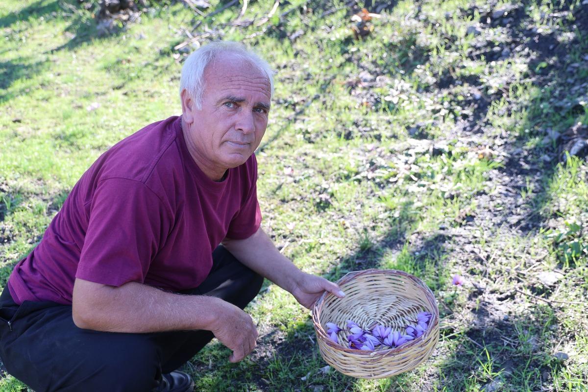 Her şey bir saksıyla başladı: Gramı 900 TL Bu yıl 600 gram olacak 6