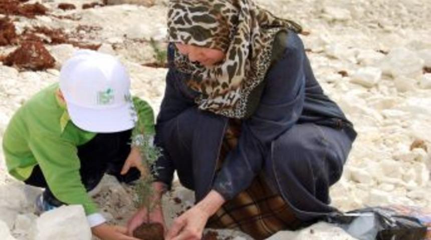 'Bi D&uuml;nya Yeşil Projesi&rsquo;yle dikilen fidanlar yeşerdi