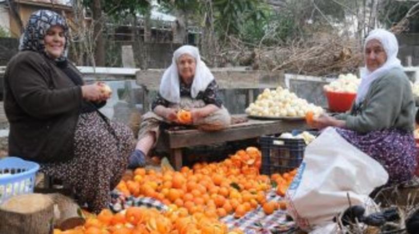 Turuncun suyu ekşi, kabuğu re&ccedil;el, &ccedil;ekirdeği tohumluk oluyor