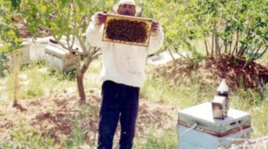 Siirt'te 'Pervari Balının Karakterizasyonu Araştırması' tamamlandı