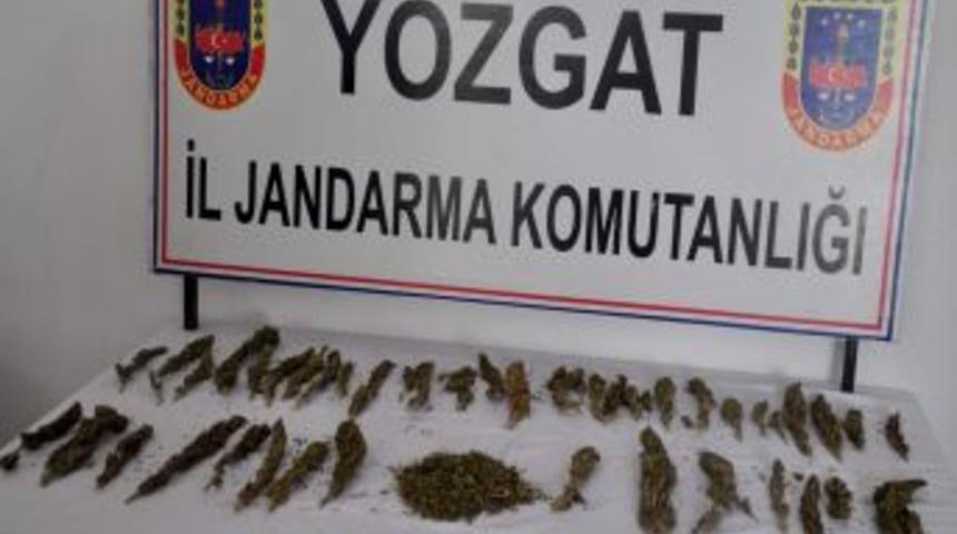 Yozgat İl Jandarma Komutanlığı 500 gram kubar esrar ele ge&ccedil;irdi
