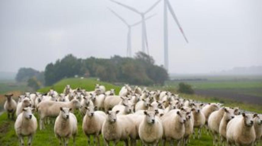 Dursunbey'e beş tane r&uuml;zg&acirc;r t&uuml;rbini kurulacak