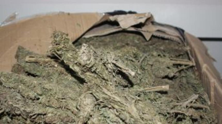 Emniyetin başarılı uyuşturucu baskınları devam ediyor