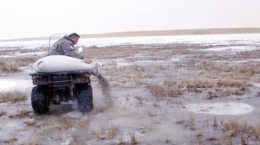 Yaban hayvanları i&ccedil;in doğaya yem bırakıldı