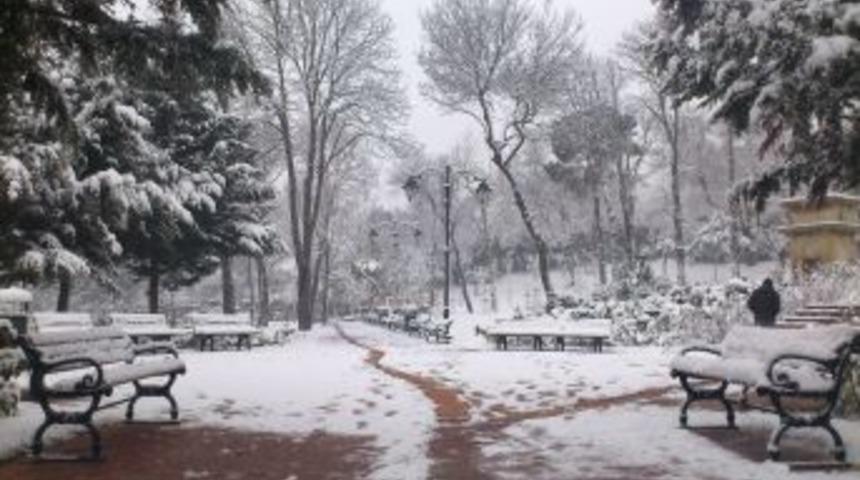 &Ccedil;amlıca beyaza b&uuml;r&uuml;nd&uuml;