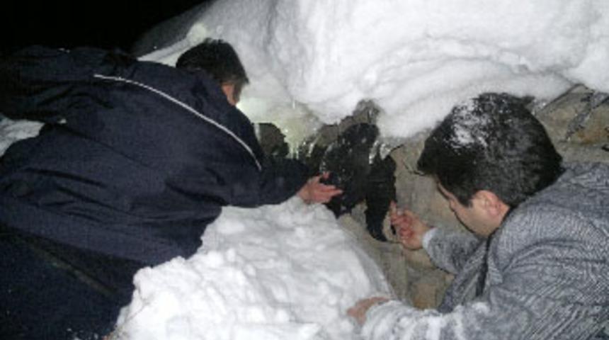 Kadın &ouml;ğretmen donmak &uuml;zereyken bulundu