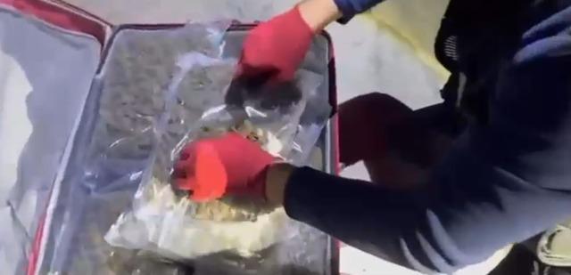 Şanlıurfa’da yolcu otobüsünde 16 kilo 400 gram skunk ele geçirildi 5