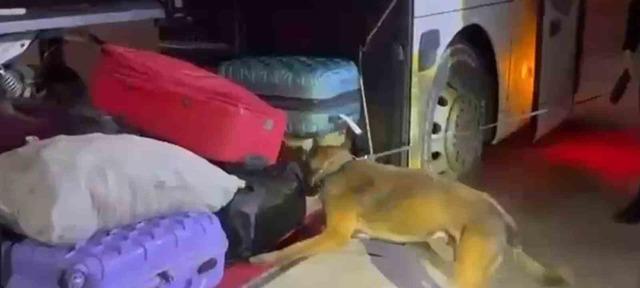 Şanlıurfa’da yolcu otobüsünde 16 kilo 400 gram skunk ele geçirildi 3