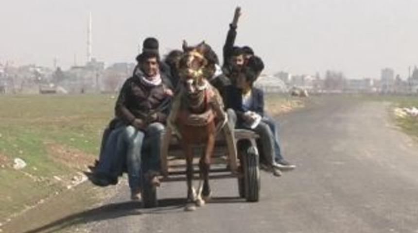 At arabalı taşımalı eğitim