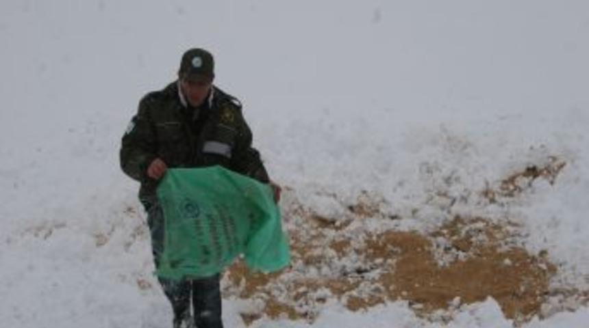 Veysel Eroğlu, yaban hayvanları i&ccedil;in personelini seferber etti