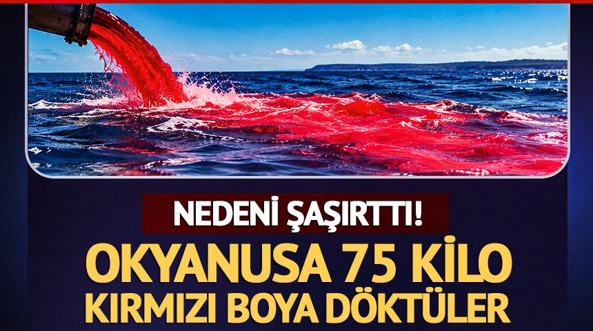 Okyanusa 75 kilo kırmızı boya d&ouml;kt&uuml;ler! Sebebi şaşırttı