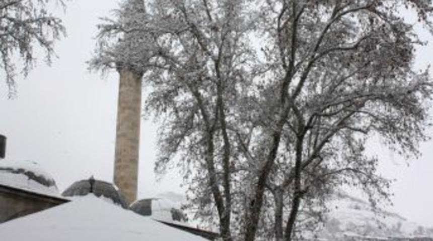 Tokat'ta kar yağışı hayatı olumsuz etkiliyor