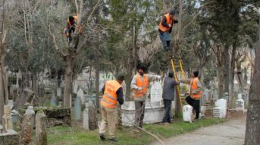 Adıyaman&rsquo;da ağa&ccedil;lar budanıyor