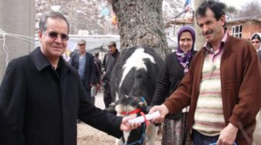 30 aileye 120 damızlık d&uuml;ve dağıtıldı