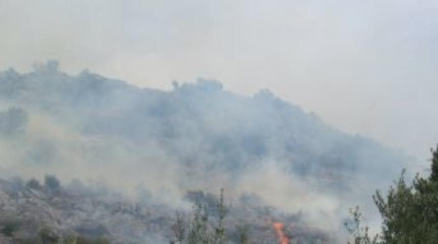 Kozan&rsquo;da Zeytinlik alan yandı