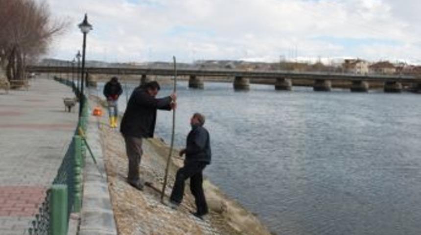 Kızılırmak ağa&ccedil;landırılıyor