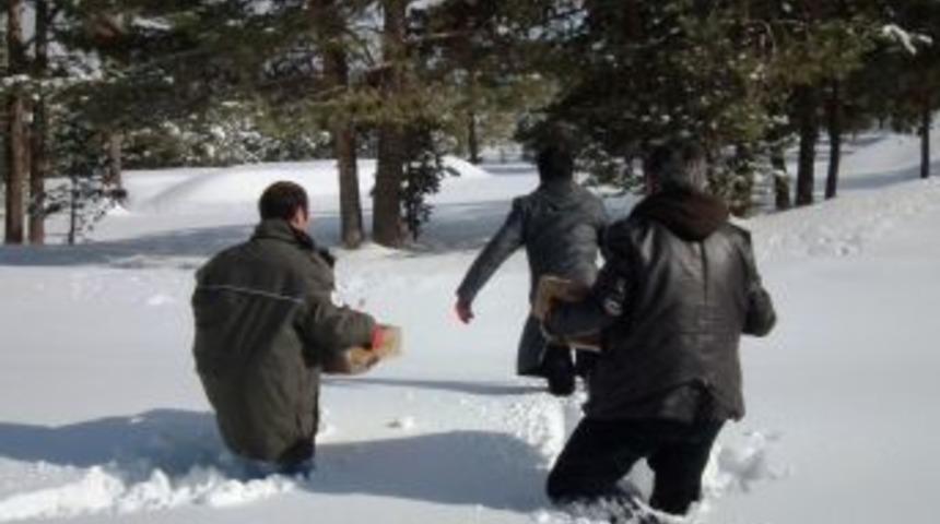 Sarıkamış&rsquo;ta yaban hayatı i&ccedil;in doğaya yem bırakıldı