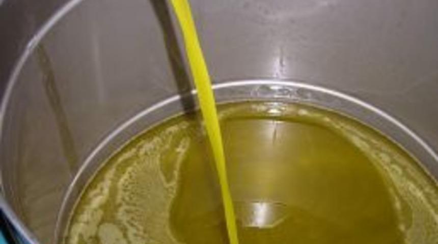 Zeytinci sıkıntılı g&uuml;nler yaşıyor