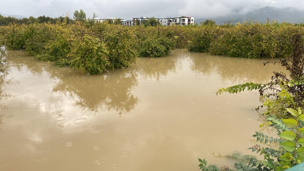Muğla da sağanak yağış hayatı felç etti! Tersakan çayı taştı 3