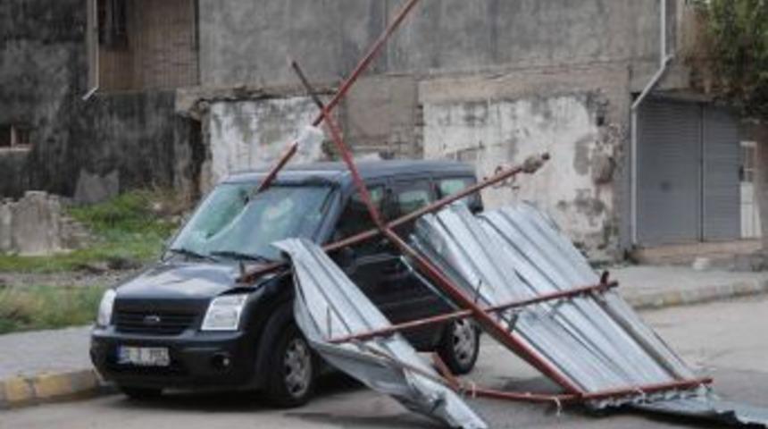 Yarıkkaya fırtınası ağaçları kökünden söktü