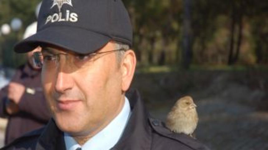 Polisin omzuna kuş kondu