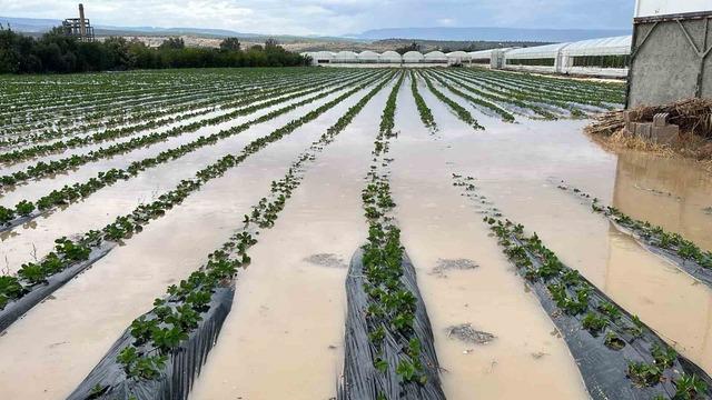 Bir sel haberi de Mersin den! İlçelerde yollar ve tarım alanları su altında kaldı 6