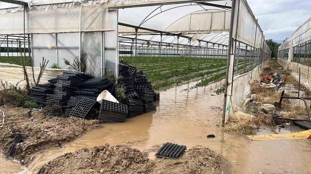 Bir sel haberi de Mersin den! İlçelerde yollar ve tarım alanları su altında kaldı 3