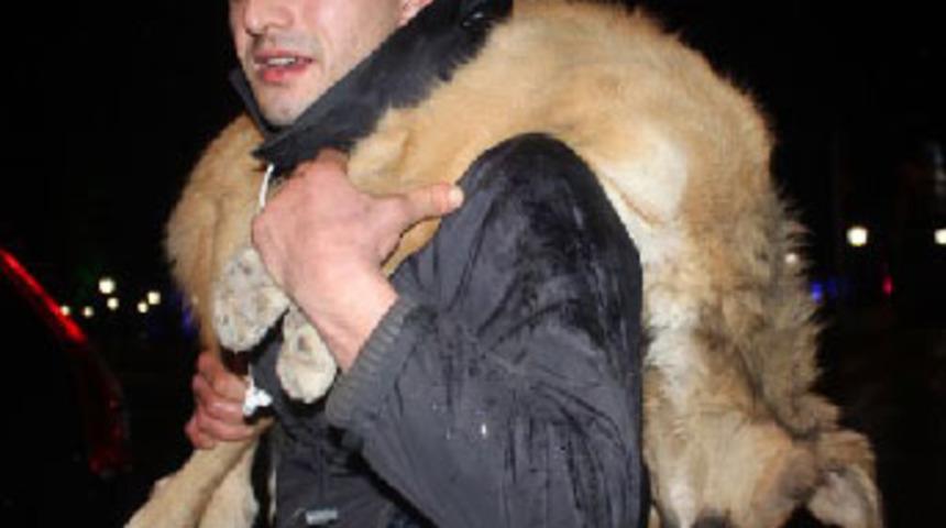 Başkanın kapısına k&ouml;pek leşi bıraktı