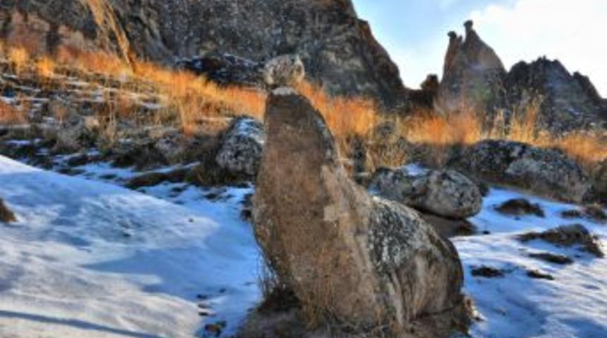 Fok balığı g&ouml;r&uuml;n&uuml;ml&uuml; peribacası