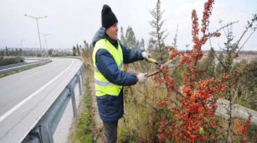 Karayolları'nın yeşil alanları İzmir B&uuml;y&uuml;kşehir&rsquo;e emanet