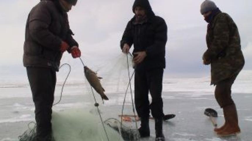 Bin bir zorlukla buzda avlanan sazanlar sofralarda afiyetle yeniliyor