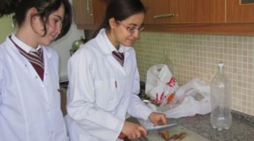 T&uuml;bitak Akdeniz se&ccedil;melerine Altınbaşak&rsquo;tan 5 proje