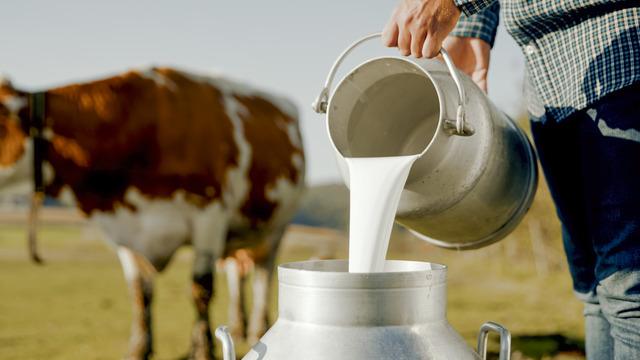 İşlenmemiş süte karşı sert uyarı! Kuş gribine sebep olabiliyor
