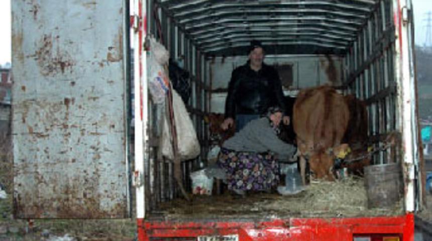 &Ccedil;areyi Kemal Sunal filminde buldu