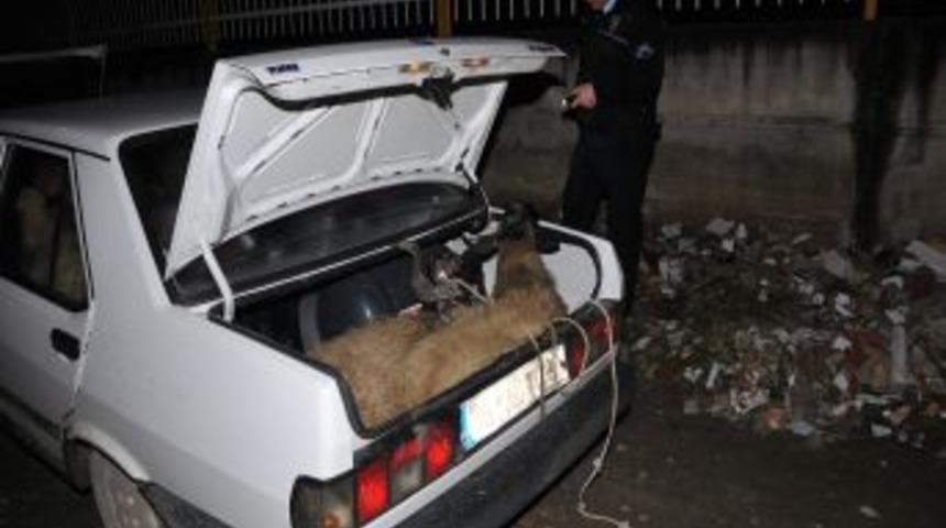 &Ccedil;aldığı 8 koyunla ka&ccedil;arken kıskıvrak yakalandı