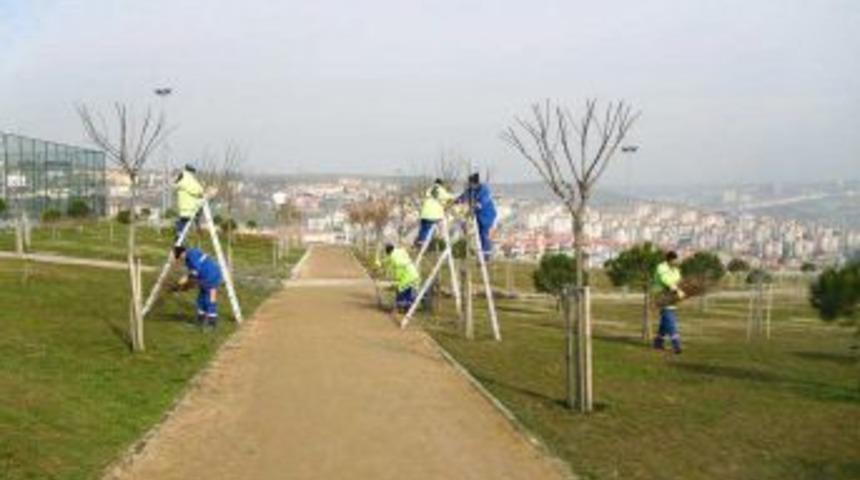 Başakşehir&rsquo;in ağa&ccedil;ları bahara hazırlanıyor