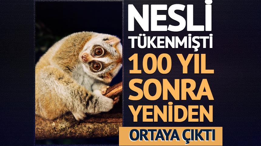 Nesli t&uuml;kenmişti: 100 yıl sonra yeniden ortaya &ccedil;ıktı!