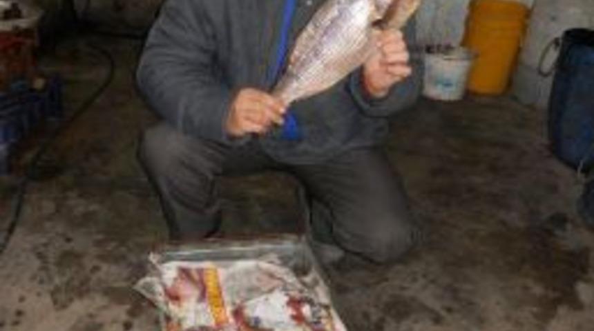 Saros K&ouml;rfezi&rsquo;nde balık&ccedil;ıların y&uuml;z&uuml; g&uuml;lmeye başladı