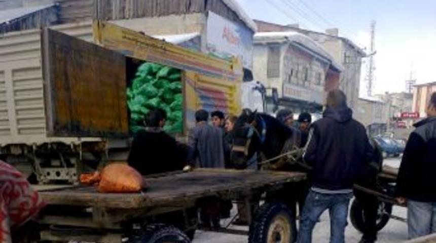 G&ouml;le'de k&ouml;m&uuml;r kıymete bindi