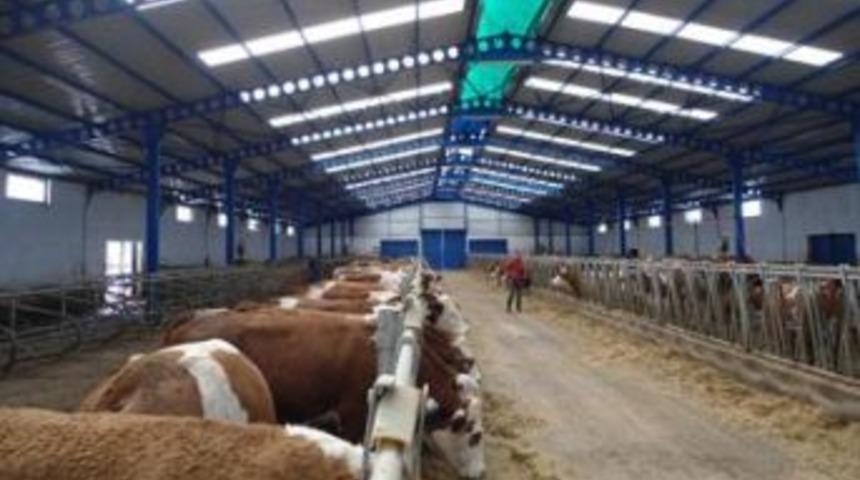 &Uuml;reticinin y&uuml;z&uuml; g&uuml;ld&uuml;