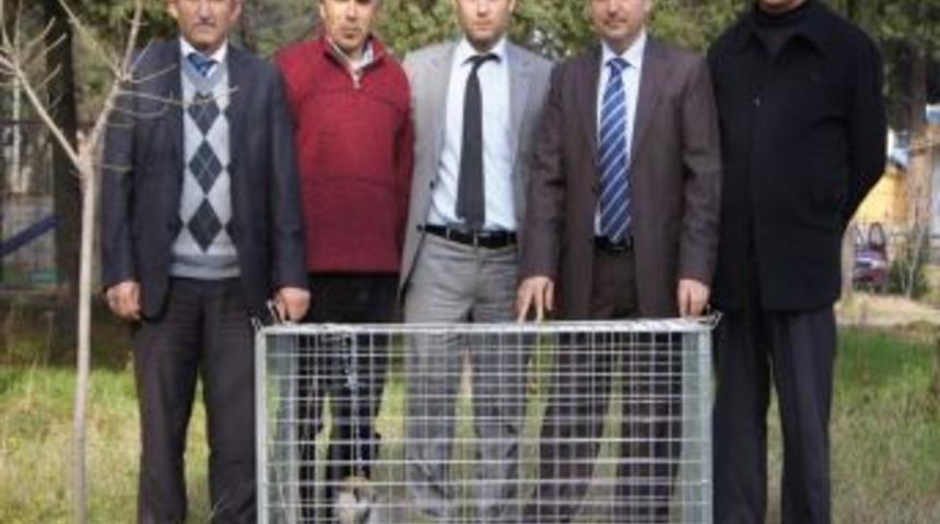 Yakalanan maymun koruma altına alındı