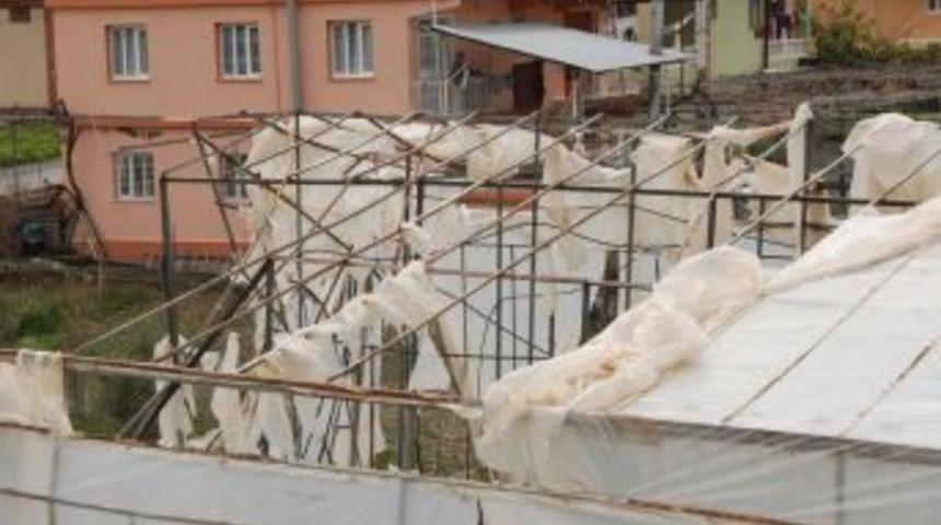 Fırtına muz &uuml;reticilerinin seralarını yerle bir etti