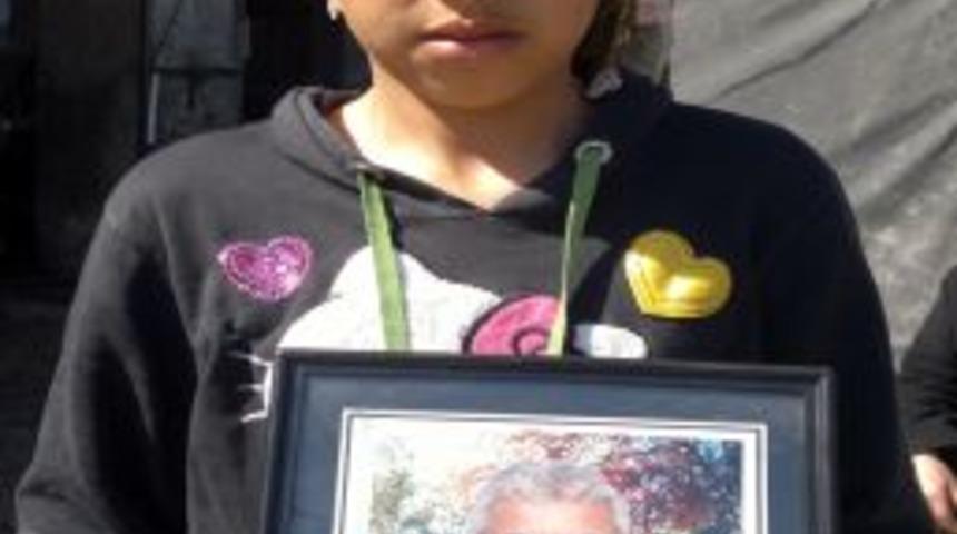 &Ouml;ld&uuml;r&uuml;len TIR şof&ouml;r&uuml;, Suriye&rsquo;ye balık g&ouml;t&uuml;rmek i&ccedil;in yola &ccedil;ıkmış