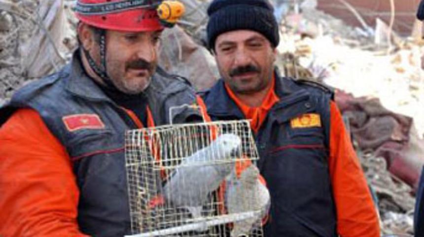 Enkazdan 120 saat sonra papağan &ccedil;ıktı