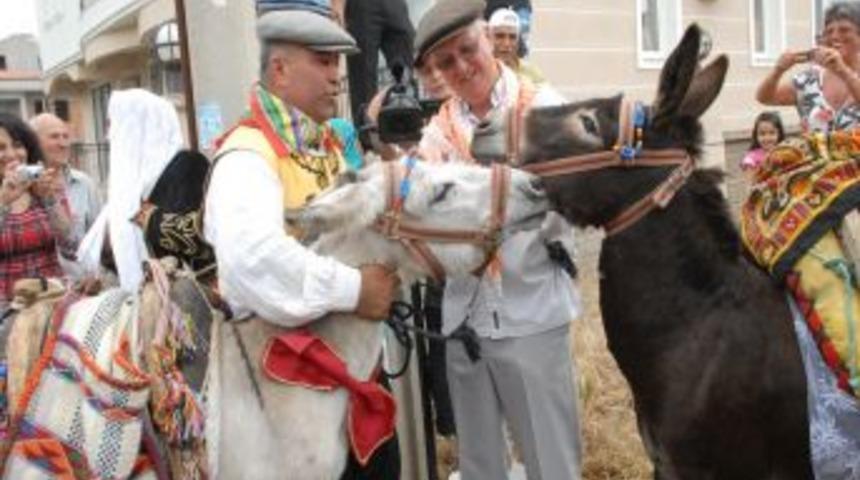 Eşeği turizme kazandırdı, Avrupalıların g&ouml;zdesi oldu