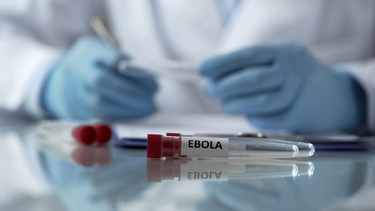 Vaka sayısı 10 bini aştı, Ebola paniği b&uuml;y&uuml;d&uuml;! "T&uuml;m d&uuml;nya hazırlıklı olsun" 2