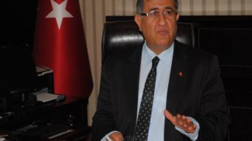 Manavgat'ta 22 bin 500 dekar alanda zeytin &uuml;retimi yapılıyor
